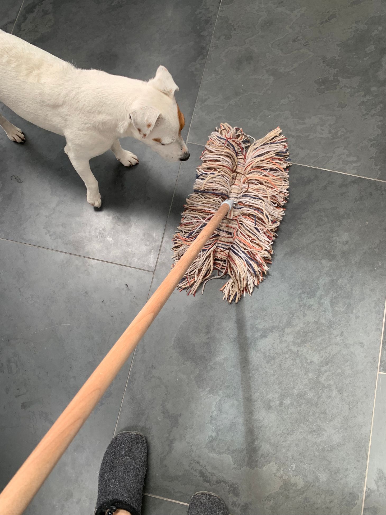 Walking the Floor Over Ewe: Wool Dust Mops